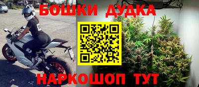 кокс Будённовск