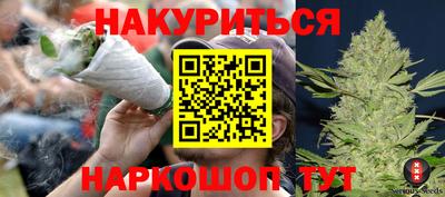 сатива Бузулук