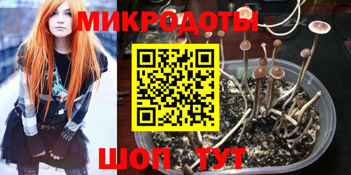Гагарин  Галлюциногенные грибы мухоморы  Вход с VPN 