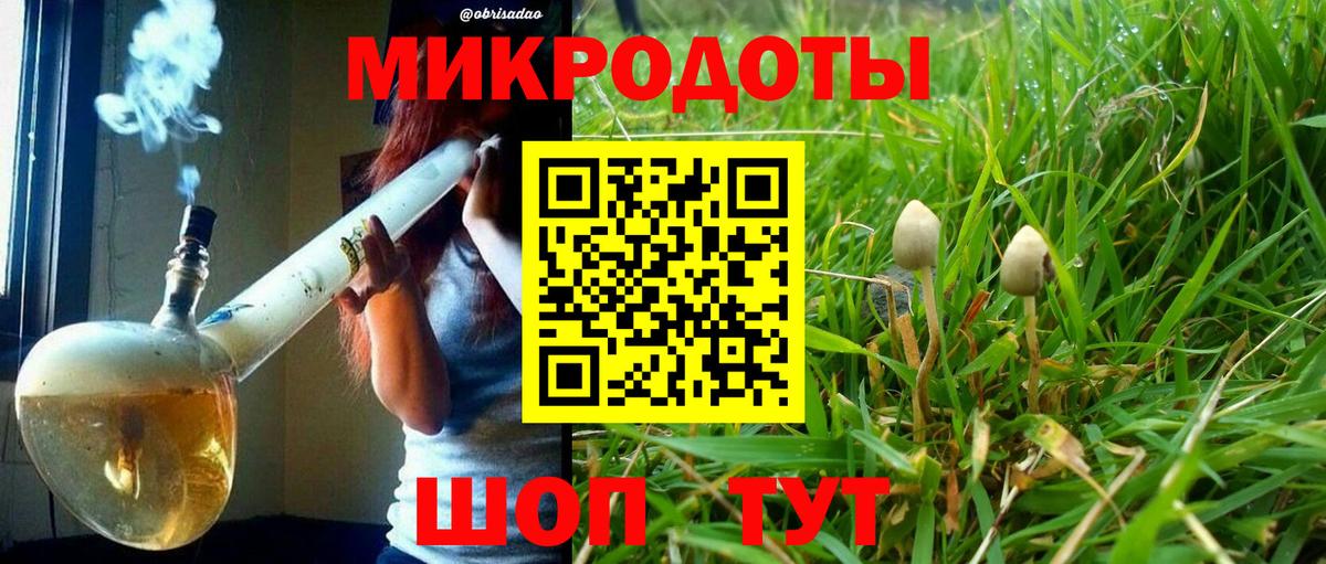Галлюциногенные грибы Magic Shrooms Гагарин
