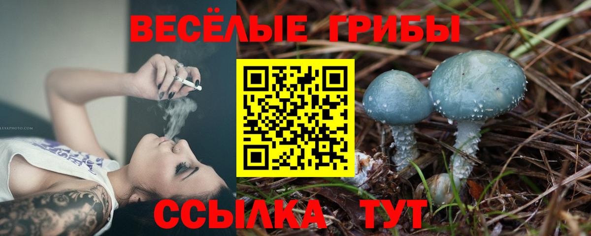 Псилоцибиновые грибы Psilocybe  Гагарин 